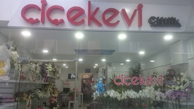 Photos of Samsun &Ccedil;i&ccedil;ek&ccedil;ileri