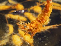 串かつ料理 えそら