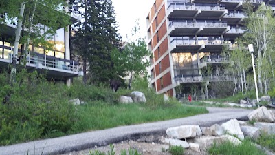 Photos of Snowbird