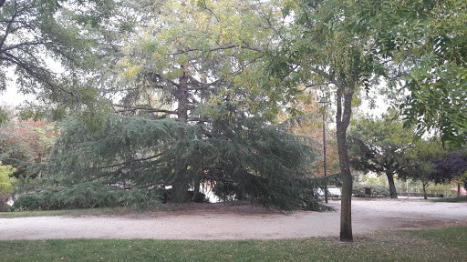 Foresta Park - Visual