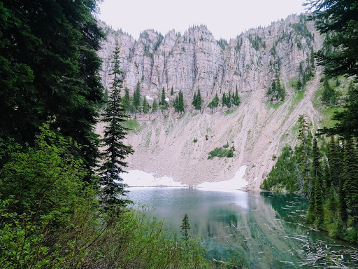Lily Lake Campsite