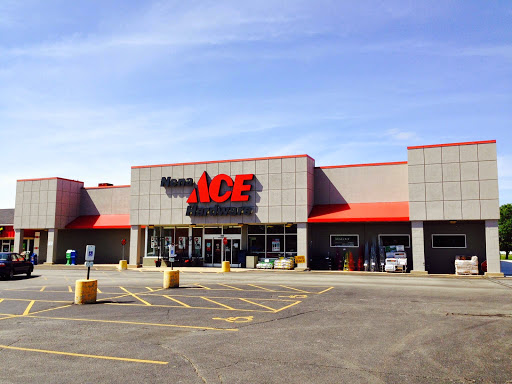 Nena ACE Hardware & Rental