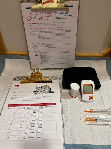 Cariboo Reg. Veterinary Technologist (RVT)Services - Thumbnail