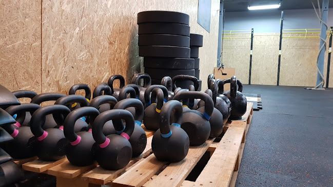 FitPoint - Gym & Fitness - Kompleks sportowy