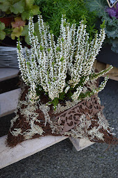Photo n°18 de la bulle verte à Sillingy (Décorateur.rice floral.e)