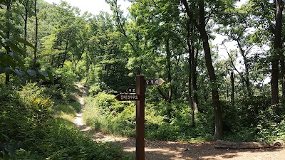 Photos of 비조봉