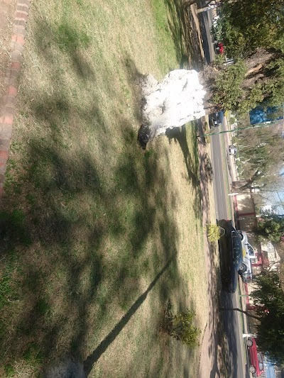 Photos of Parque de la Cultura