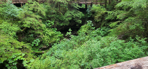 Beaver Falls Karst Trail - Thumbnail