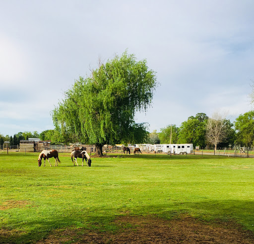 Winward Natural Equine Center - Thumbnail