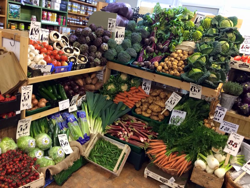 Finchley Nurseries Ltd