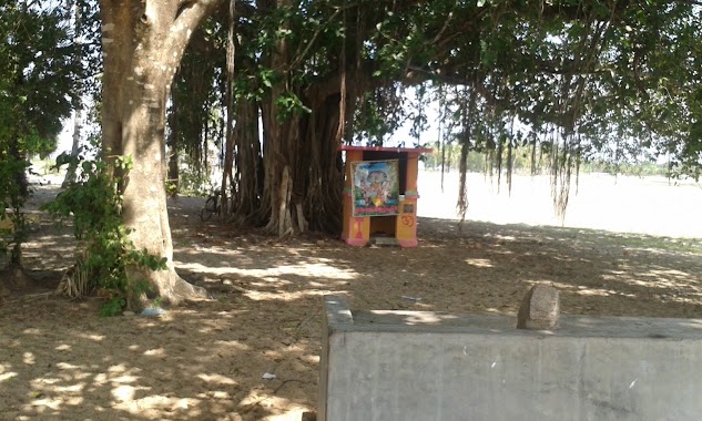 Munaikadu Kaali Kovil, Author: thuji mayuran