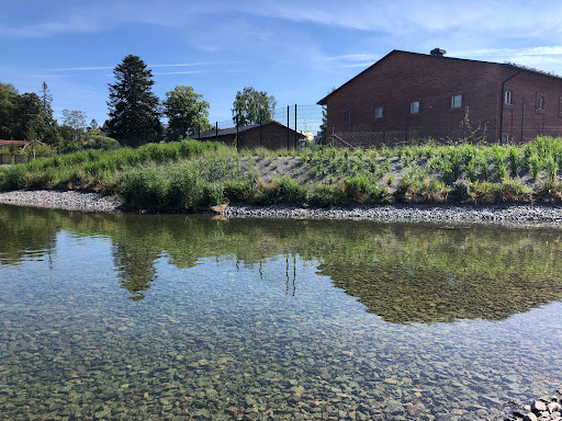 Elsa Eschelssons park - Thumbnail