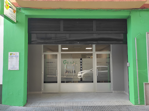 Asesoría GE. S. A. L DÍEZ AVILÉS Badajoz Villanueva de la Serena