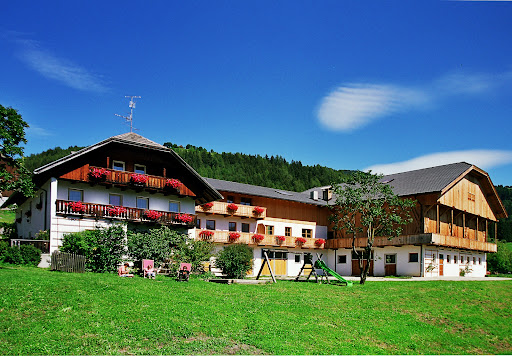 Gönnerhof Urlaub auf dem Biobauernhof - Thumbnail