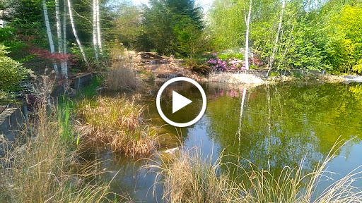 Photo de EAU JARDIN - BASSIN ET PISCINE BIOLOGIQUE
