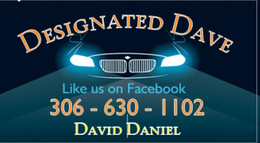 Designated Dave - Visual