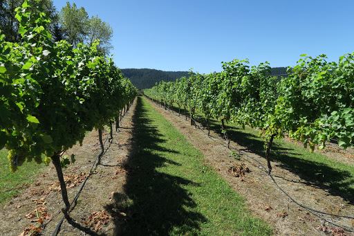 Vines and Views Tours Gallery - New Zealand