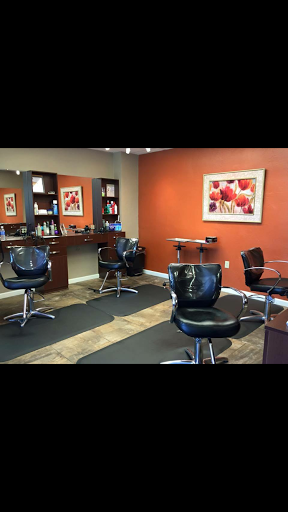 Salon 340 - Visual