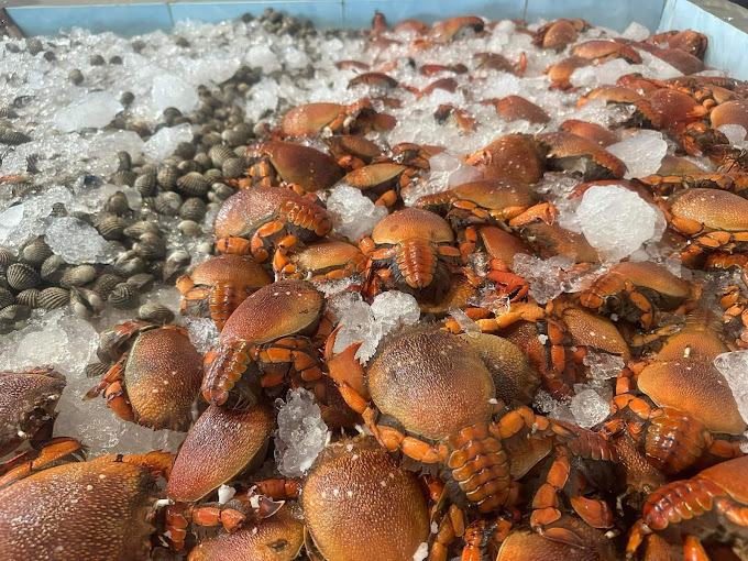 รูปภาพTrue crabs