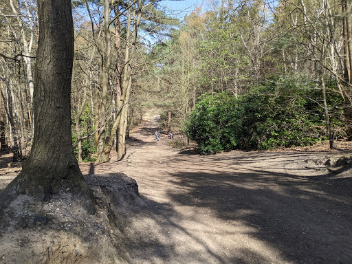 Esher - Visual