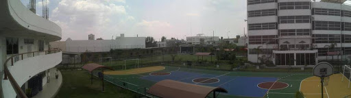 Adasep Sc - Visual