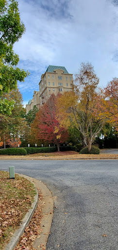 Paces Ferry Center - Visual