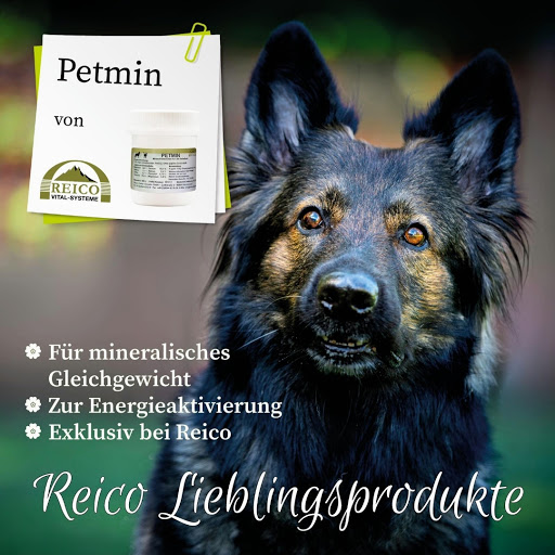 Reico Berater Vertrieb Stefanie Dörlitz - Thumbnail