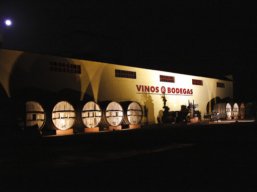 Vinos y Bodegas