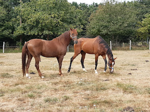 Photo n°25 de Poney Club Equi Libre à Renac (Centre équestre)