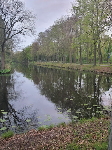 Arcen, Lingsforterweg - Thumbnail