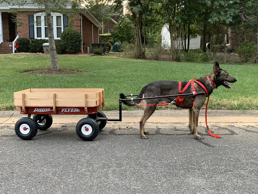 Fidogear - Visual