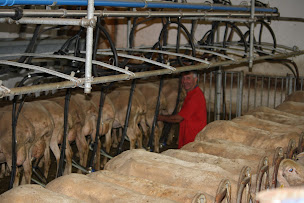Photo n°2 de LA FERME DE PIQUETALEN DU LARZAC - GLACES FERMIERES à La Bastide-Pradines (Restaurant de sundae)