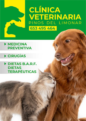 CLÍNICA VETERINARIA PINOS DEL LIMONAR