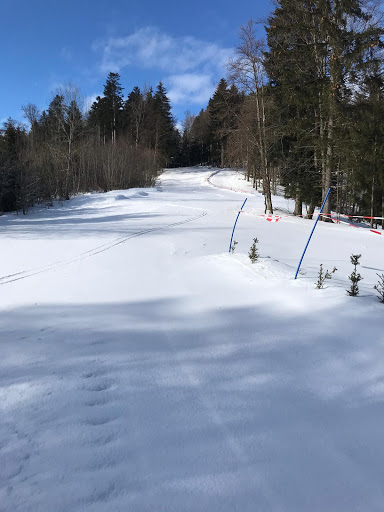 Bikepark und Skilift Burladingen - Thumbnail
