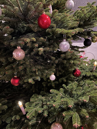 Andreas Meier Spanferkelservice & Weihnachtsbäume - Thumbnail