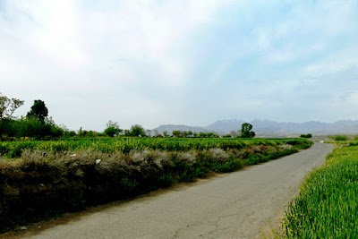 Photos of Mahal And Fahreh Cemetery