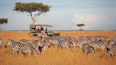 Photos of BuyMore Adventures