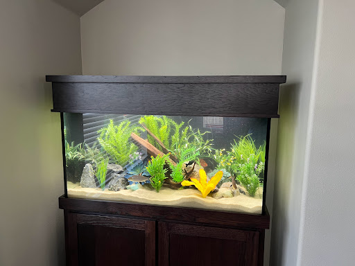 Wright Aquarium Services - Visual