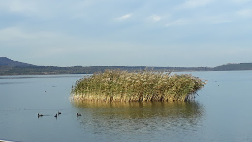 Gemeindeverwaltung Spitzkunnersdorf