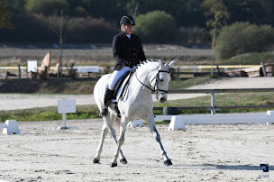 Photo n°2 de Les Écuries de Nandax à Nandax (Éleveur de chevaux)