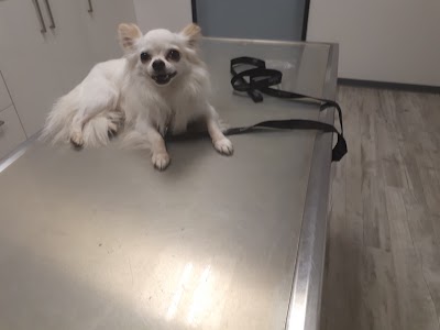 Photos of Animal Hospital Betzdorf - clinic for small animals