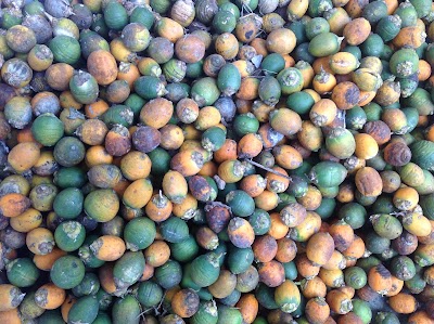 Photos of Durrany Brothers