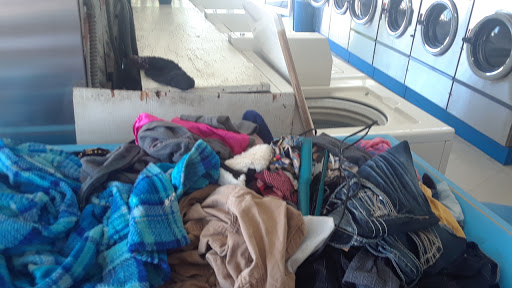 M S Laundry - Visual