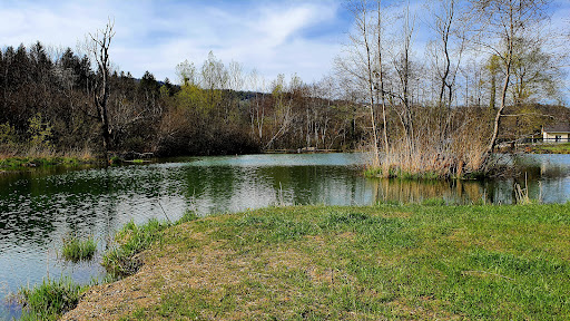 Photo de Les étangs de St Joseph De Riviere