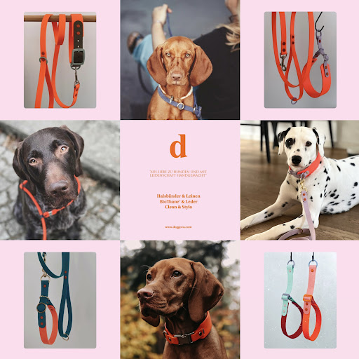 doggova - Visual