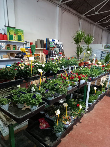 Xapiplant, S.L. - Thumbnail