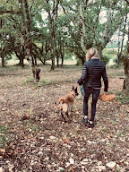 Domaine Truffier de Saleix à Sorges et Ligueux en Périgord