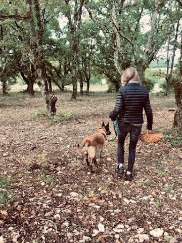 Domaine Truffier de Saleix by null