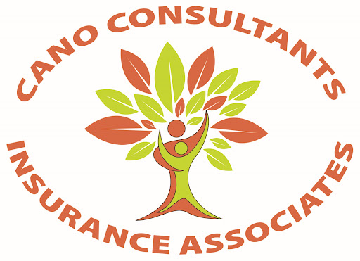 Cano Consultants Insurance Associates - Thumbnail