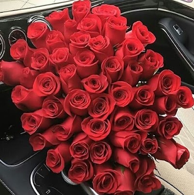 Photos of MARYAM FLOWERS TR.